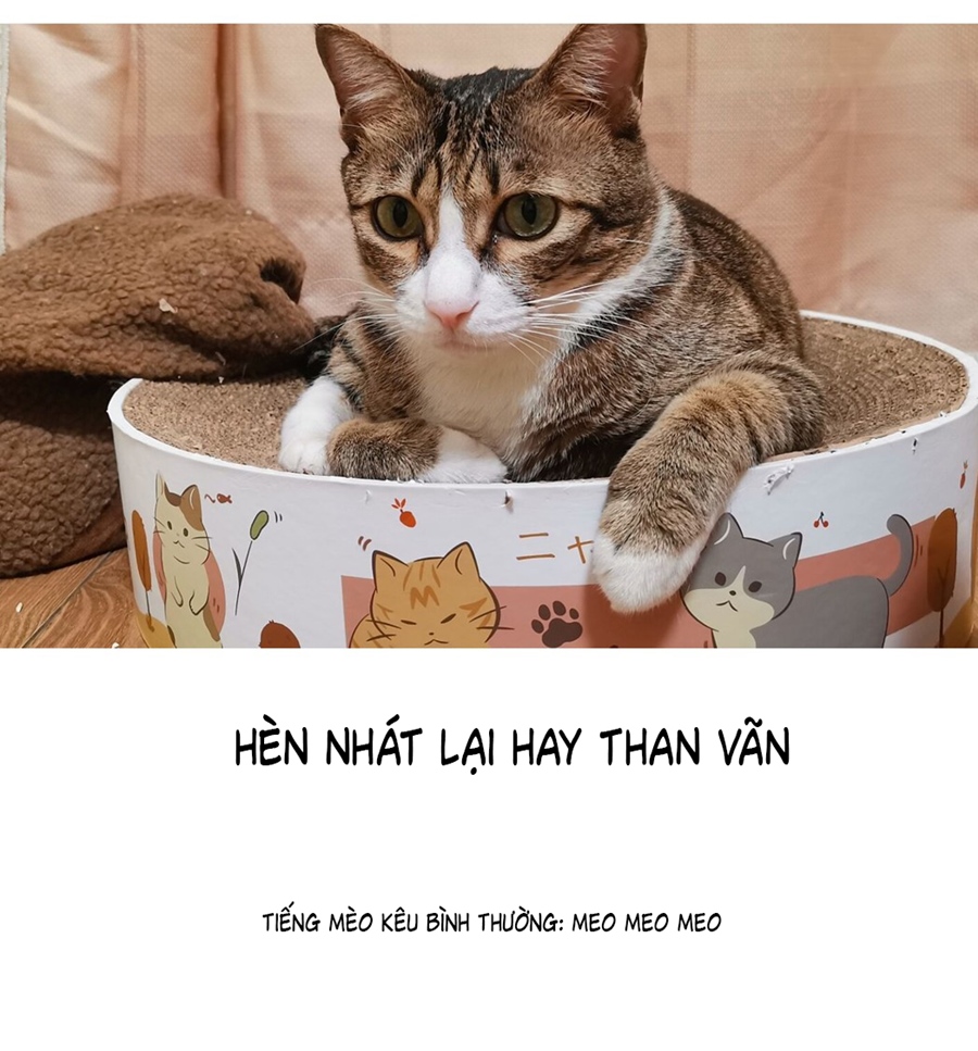 Đừng Nói Yêu Tôi Chapter 52.5 - Trang 2
