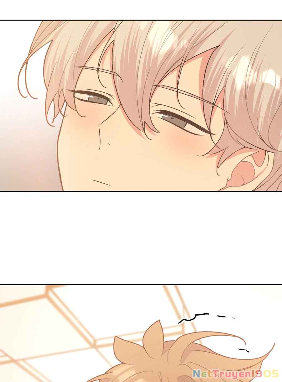 Đừng Nói Yêu Tôi Chapter 61 - Trang 2
