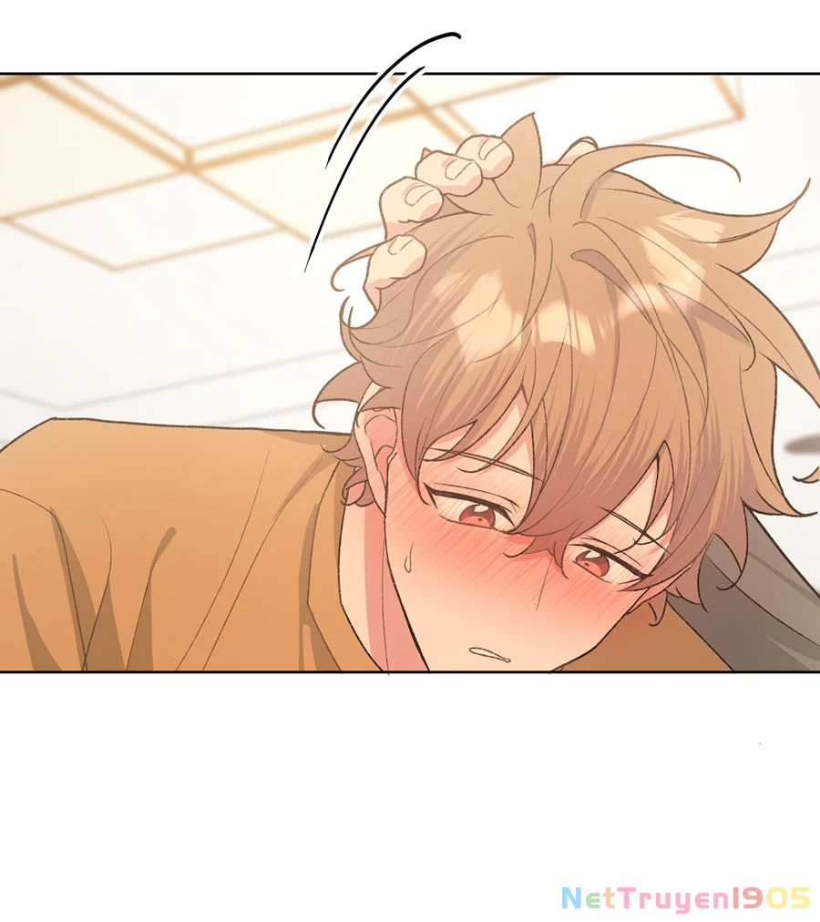 Đừng Nói Yêu Tôi Chapter 61 - Trang 2