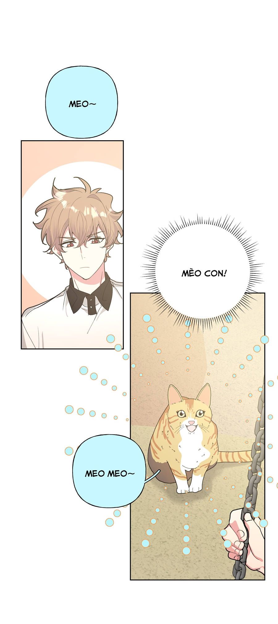 Đừng Nói Yêu Tôi Chapter 8 - Trang 2