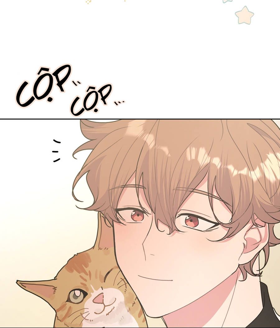 Đừng Nói Yêu Tôi Chapter 8 - Trang 2