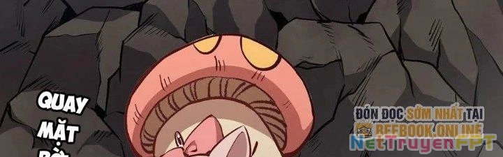 Dũng Sĩ Nấm Chapter 11 - Trang 2