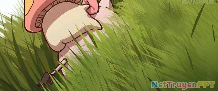 Dũng Sĩ Nấm Chapter 12 - Trang 2