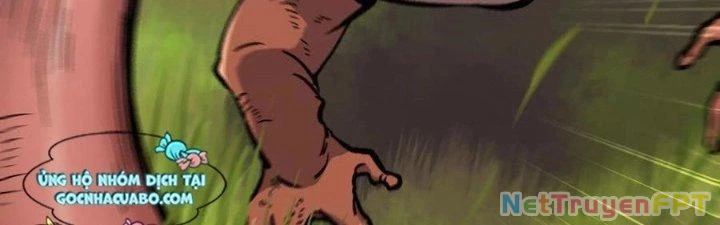 Dũng Sĩ Nấm Chapter 12 - Trang 2