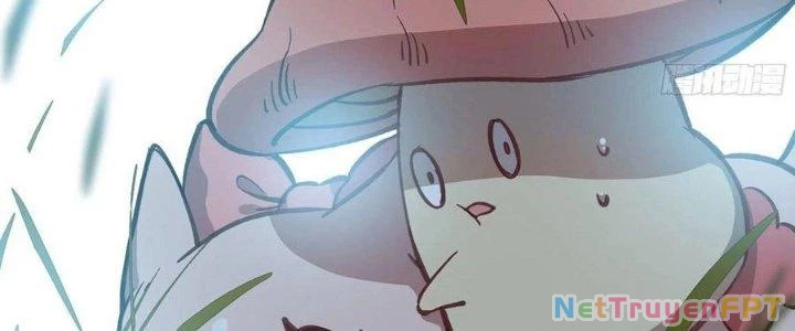 Dũng Sĩ Nấm Chapter 12 - Trang 2