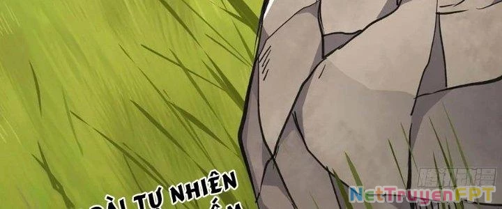 Dũng Sĩ Nấm Chapter 12 - Trang 2