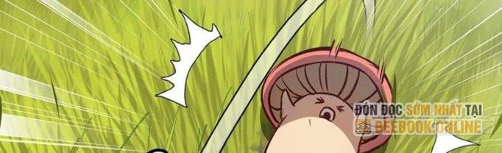 Dũng Sĩ Nấm Chapter 13 - Trang 2