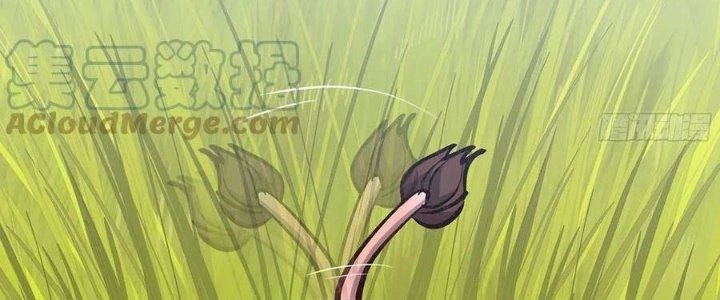 Dũng Sĩ Nấm Chapter 13 - Trang 2
