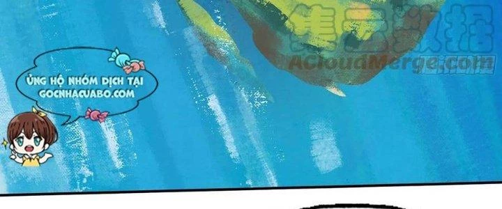 Dũng Sĩ Nấm Chapter 13 - Trang 2