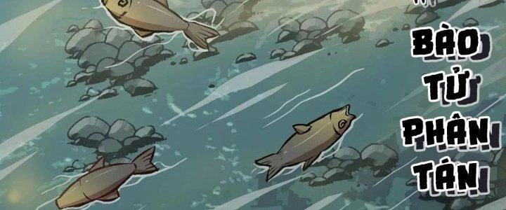 Dũng Sĩ Nấm Chapter 14 - Trang 2