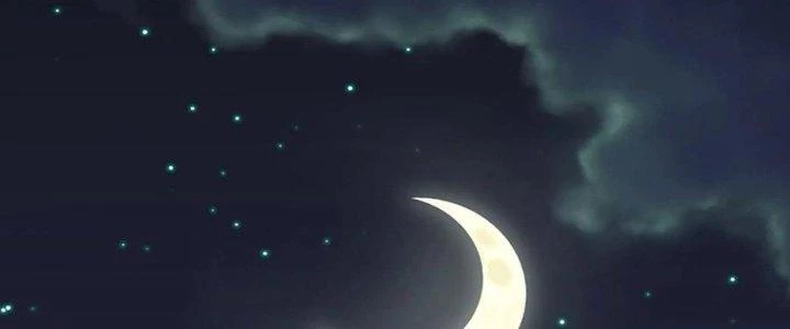 Dũng Sĩ Nấm Chapter 17 - Trang 2