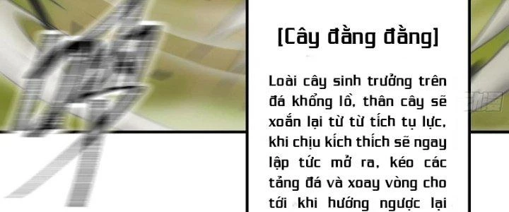 Dũng Sĩ Nấm Chapter 19 - Trang 2