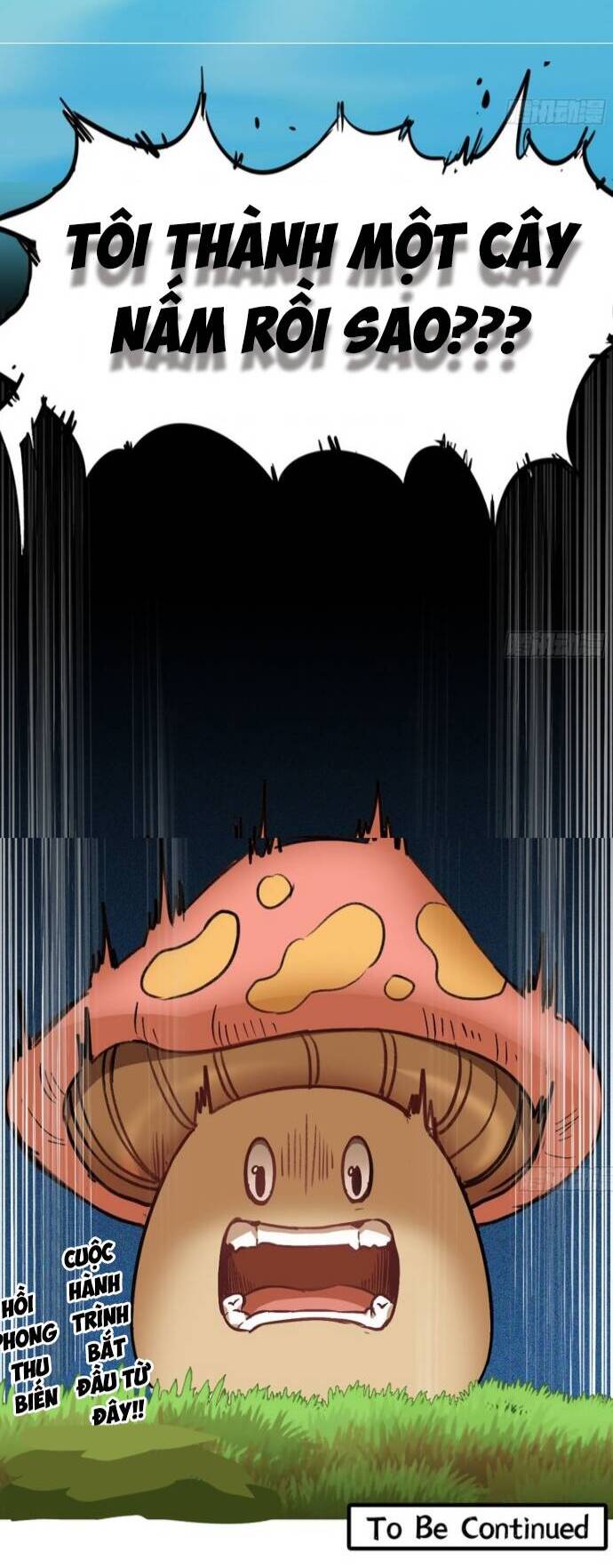 Dũng Sĩ Nấm Chapter 2 - Trang 2