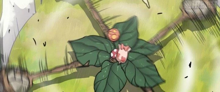 Dũng Sĩ Nấm Chapter 20 - Trang 2