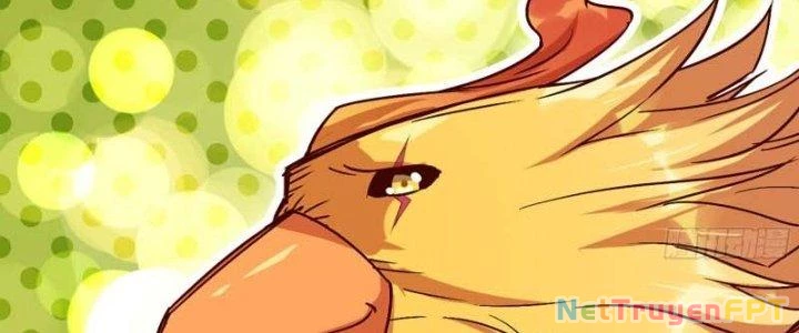 Dũng Sĩ Nấm Chapter 23 - Trang 2