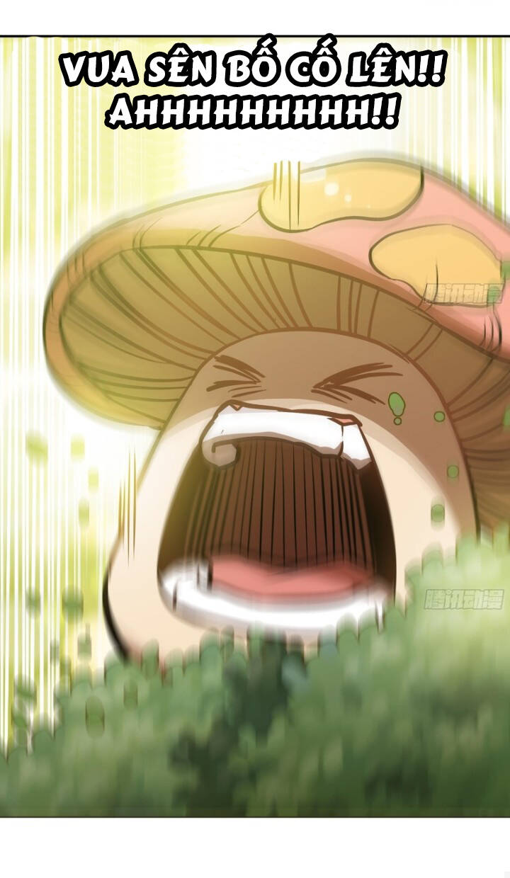 Dũng Sĩ Nấm Chapter 4 - Trang 2