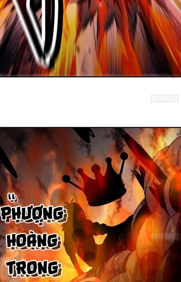 Dũng Sĩ Nấm Chapter 41 - Trang 2