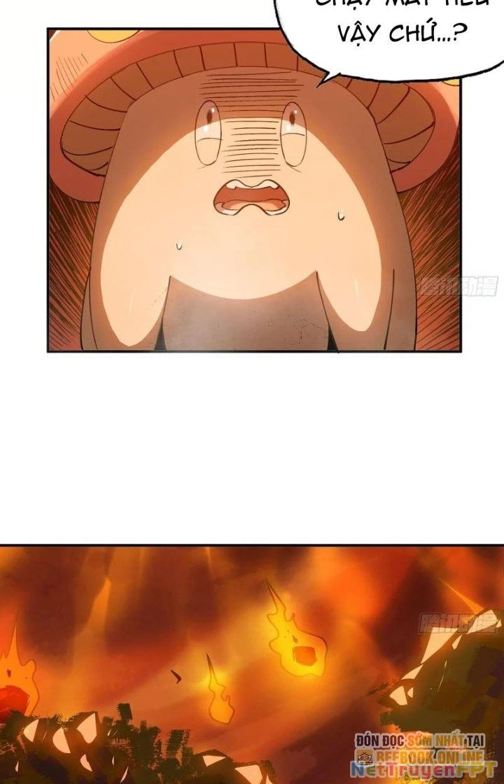 Dũng Sĩ Nấm Chapter 42 - Trang 2