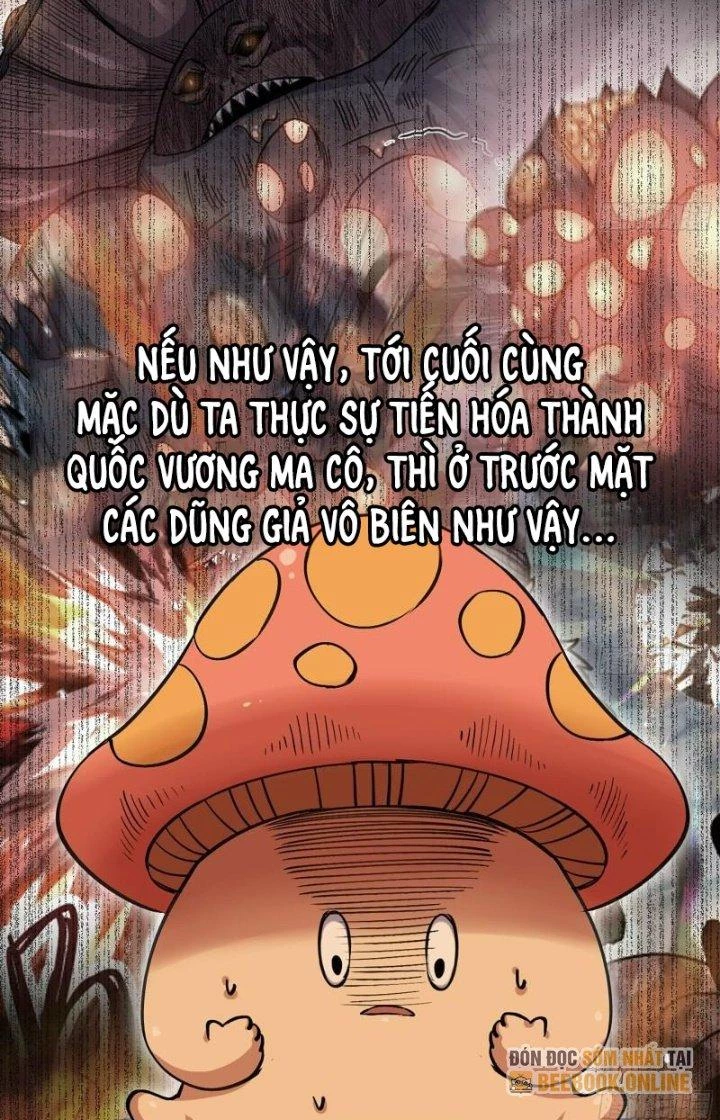 Dũng Sĩ Nấm Chapter 42 - Trang 2