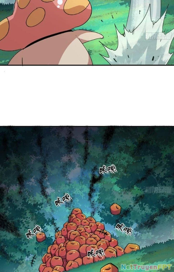 Dũng Sĩ Nấm Chapter 46 - Trang 2