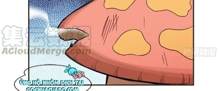 Dũng Sĩ Nấm Chapter 5 - Trang 2