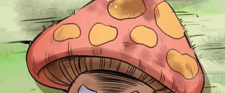 Dũng Sĩ Nấm Chapter 5 - Trang 2