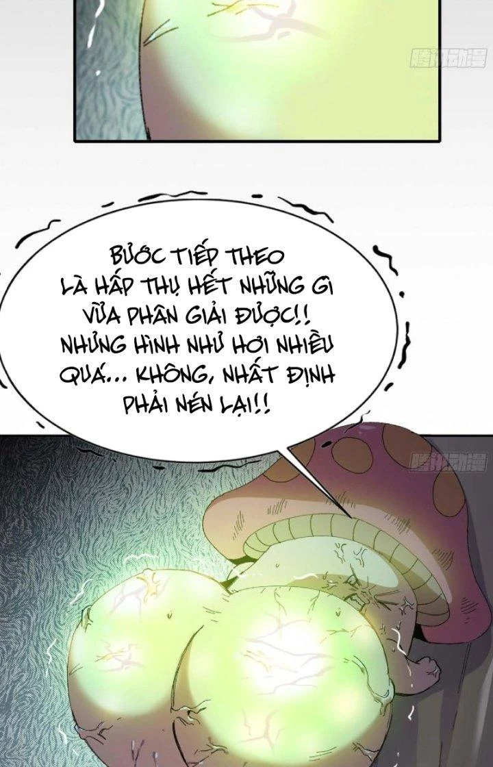 Dũng Sĩ Nấm Chapter 52 - Trang 2