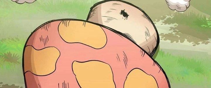 Dũng Sĩ Nấm Chapter 6 - Trang 2
