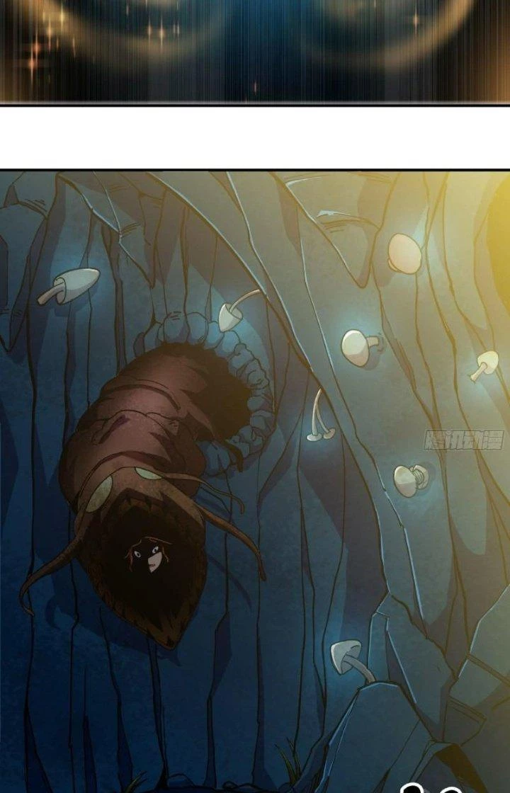 Dũng Sĩ Nấm Chapter 62 - Trang 2