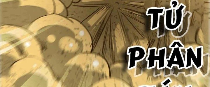 Dũng Sĩ Nấm Chapter 7 - Trang 2