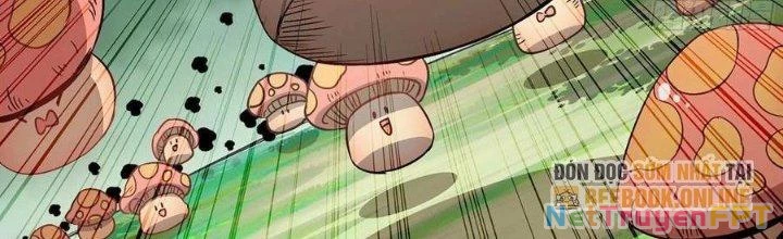 Dũng Sĩ Nấm Chapter 8 - Trang 2
