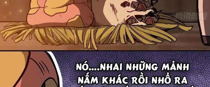 Dũng Sĩ Nấm Chapter 9 - Trang 2