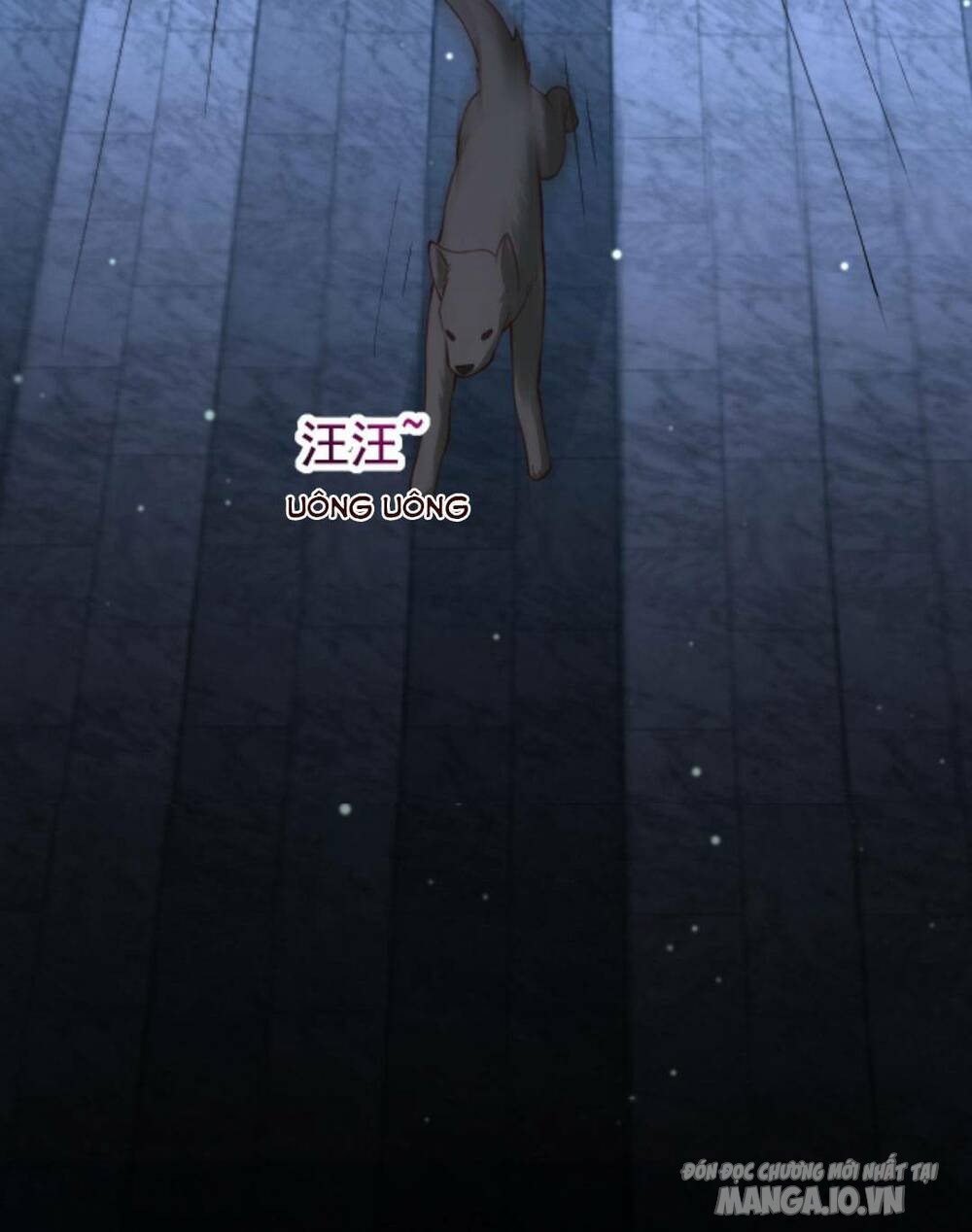 Đứng Yên! Em Gái Chúng Tôi Nói Trên Đầu Bạn Có Quỷ Chapter 123 - Trang 2