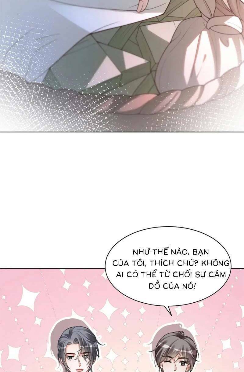 Được Các Anh Trai Chiều Chuộng Tôi Trở Nên Ngang Tàng Chapter 211 - Trang 2