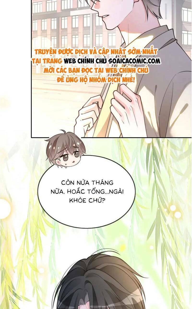 Được Các Anh Trai Chiều Chuộng Tôi Trở Nên Ngang Tàng Chapter 214 - Trang 2