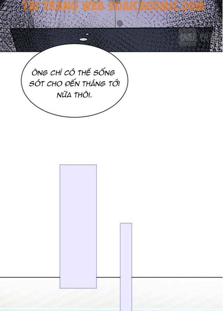 Được Các Anh Trai Chiều Chuộng Tôi Trở Nên Ngang Tàng Chapter 46 - Trang 2