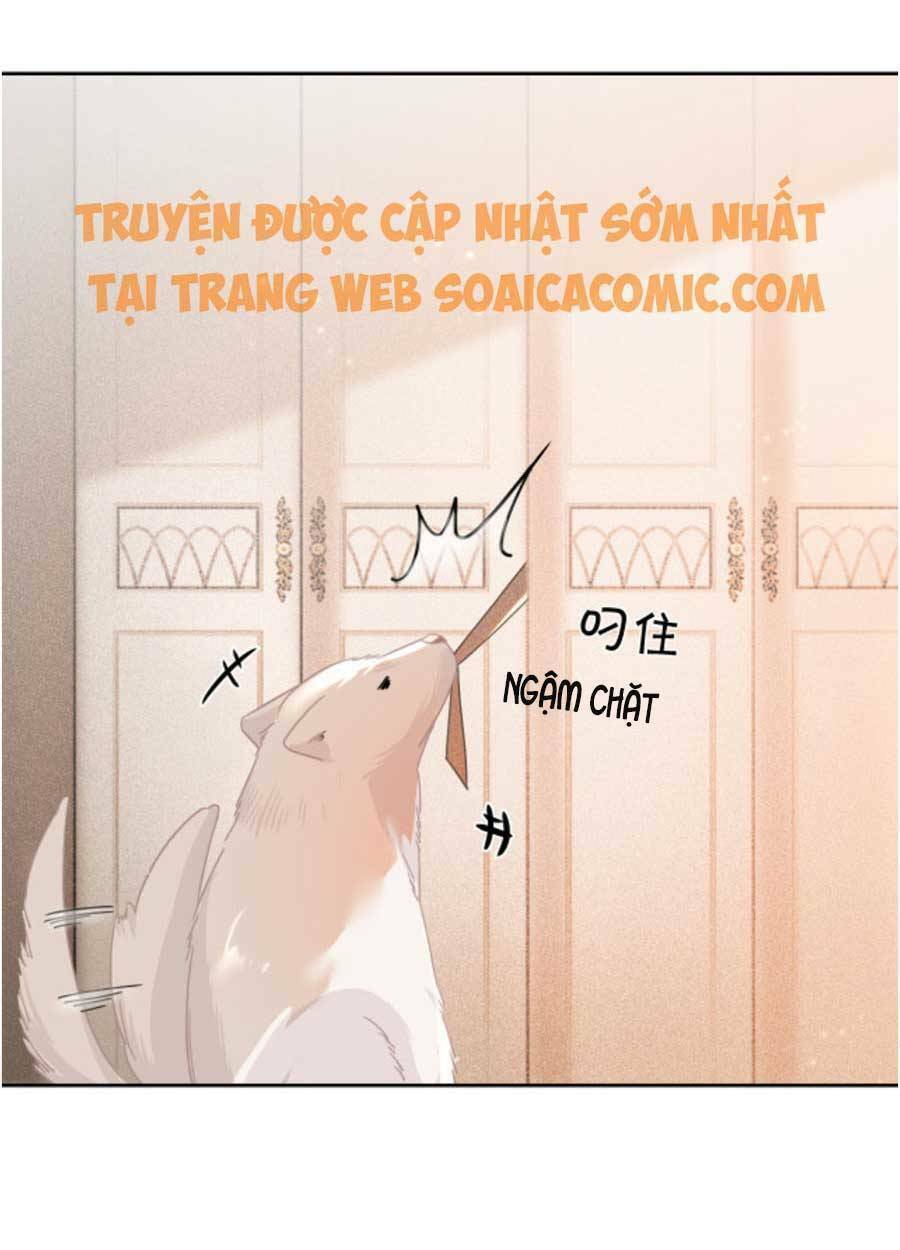 Được Các Anh Trai Chiều Chuộng Tôi Trở Nên Ngang Tàng Chapter 59 - Trang 2