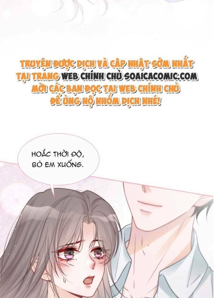 Được Các Anh Trai Chiều Chuộng Tôi Trở Nên Ngang Tàng Chapter 77 - Trang 2