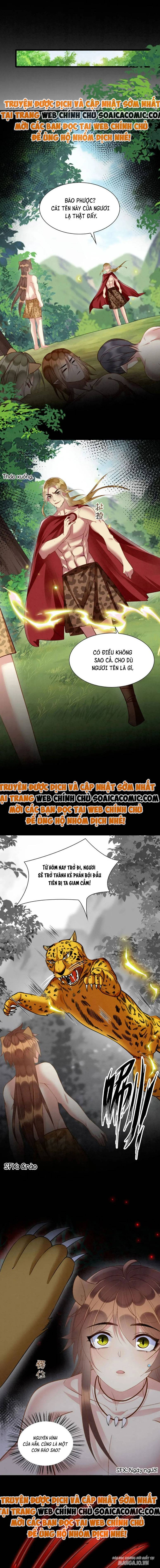 Được Chồng Rắn Siêu Sủng Khi Xuyên Qua Thú Thế Chapter 14 - Trang 2