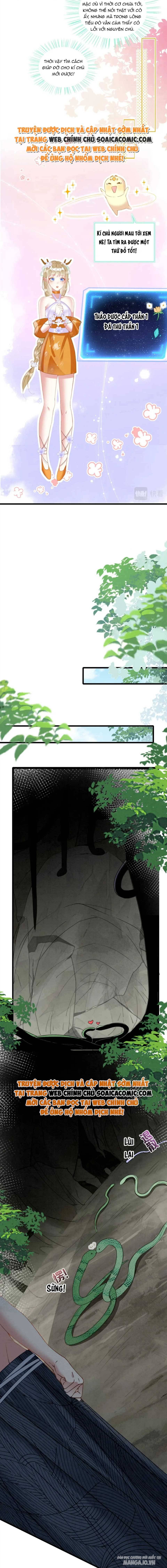Được Chồng Rắn Siêu Sủng Khi Xuyên Qua Thú Thế Chapter 21 - Trang 2