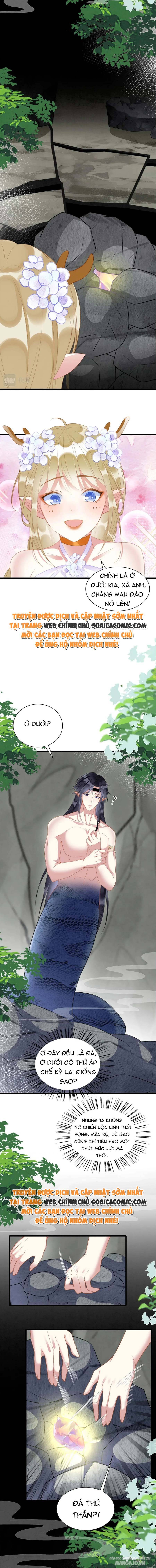 Được Chồng Rắn Siêu Sủng Khi Xuyên Qua Thú Thế Chapter 23 - Trang 2