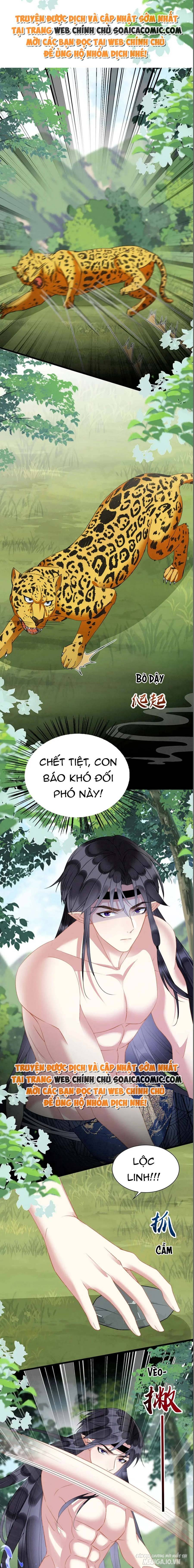 Được Chồng Rắn Siêu Sủng Khi Xuyên Qua Thú Thế Chapter 27 - Trang 2