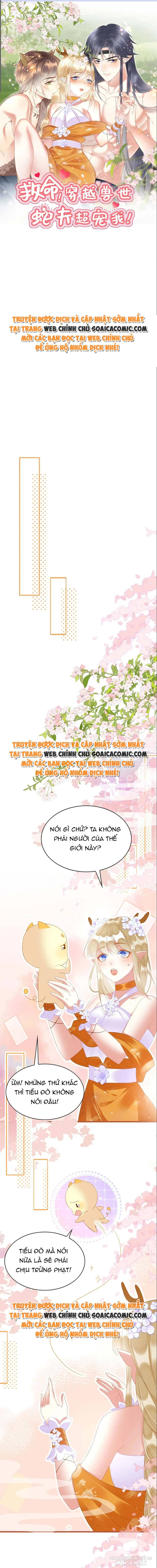 Được Chồng Rắn Siêu Sủng Khi Xuyên Qua Thú Thế Chapter 31 - Trang 2