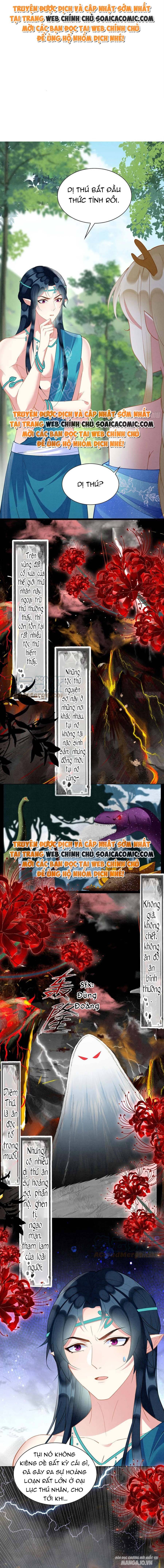 Được Chồng Rắn Siêu Sủng Khi Xuyên Qua Thú Thế Chapter 48 - Trang 2