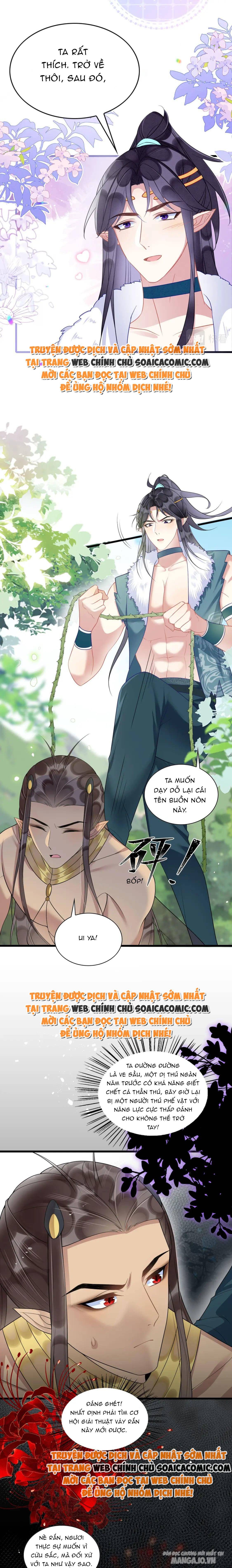 Được Chồng Rắn Siêu Sủng Khi Xuyên Qua Thú Thế Chapter 65 - Trang 2