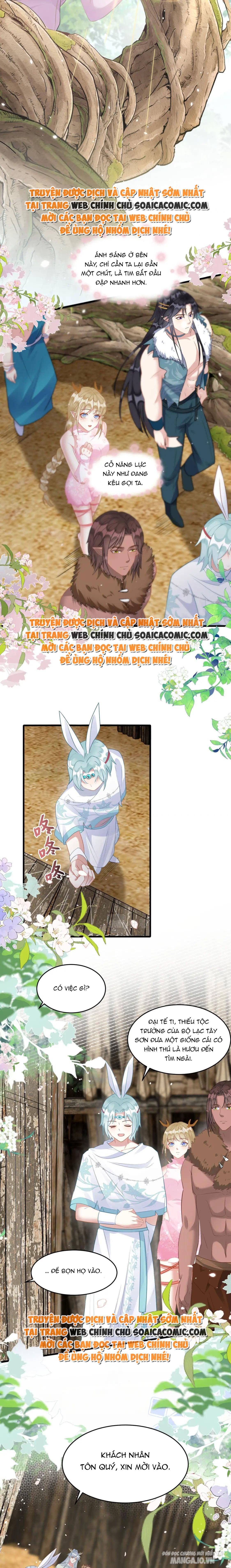 Được Chồng Rắn Siêu Sủng Khi Xuyên Qua Thú Thế Chapter 73 - Trang 2