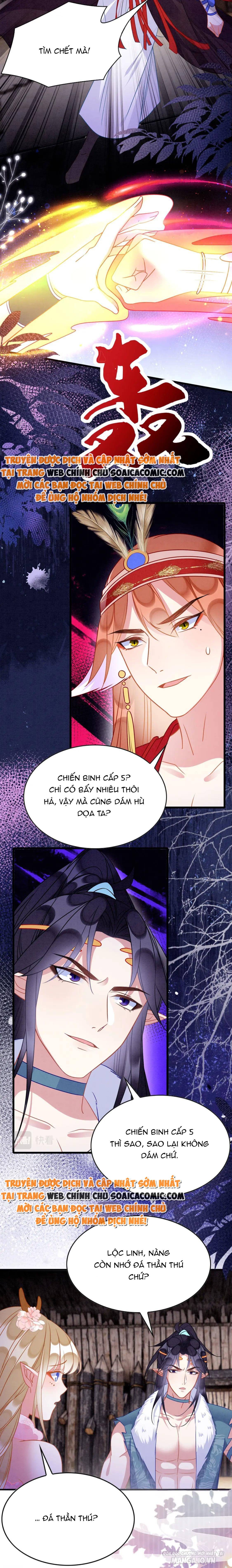 Được Chồng Rắn Siêu Sủng Khi Xuyên Qua Thú Thế Chapter 74 - Trang 2