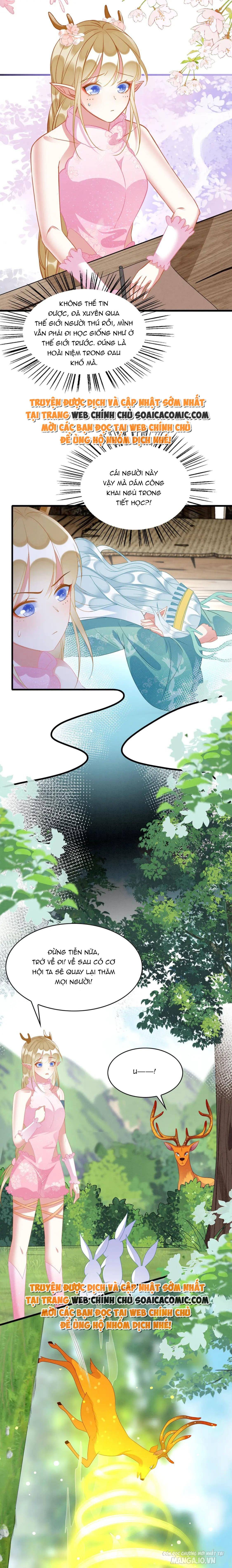 Được Chồng Rắn Siêu Sủng Khi Xuyên Qua Thú Thế Chapter 77 - Trang 2