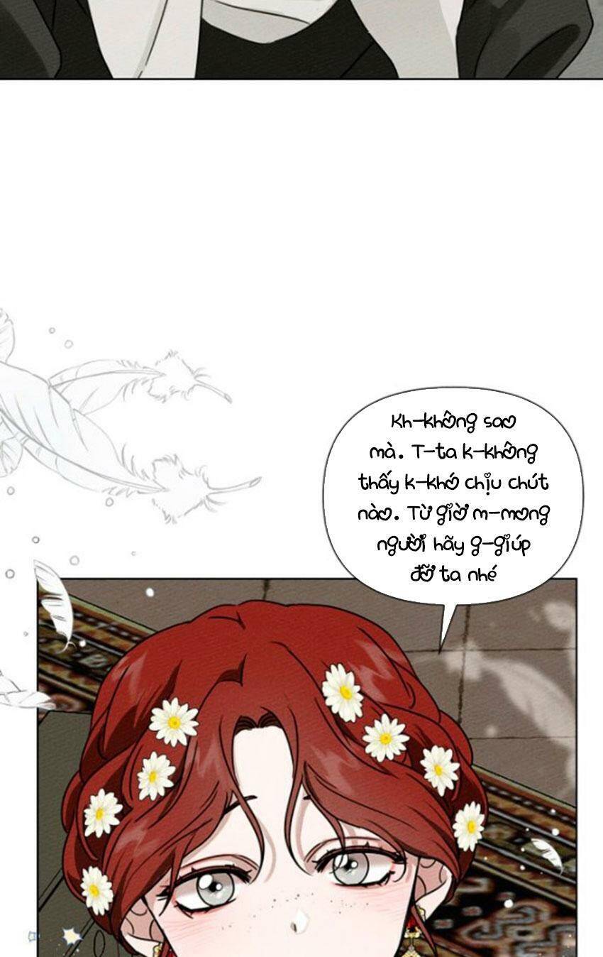 Dưới Bóng Cây Sồi Chapter 11 - Trang 2