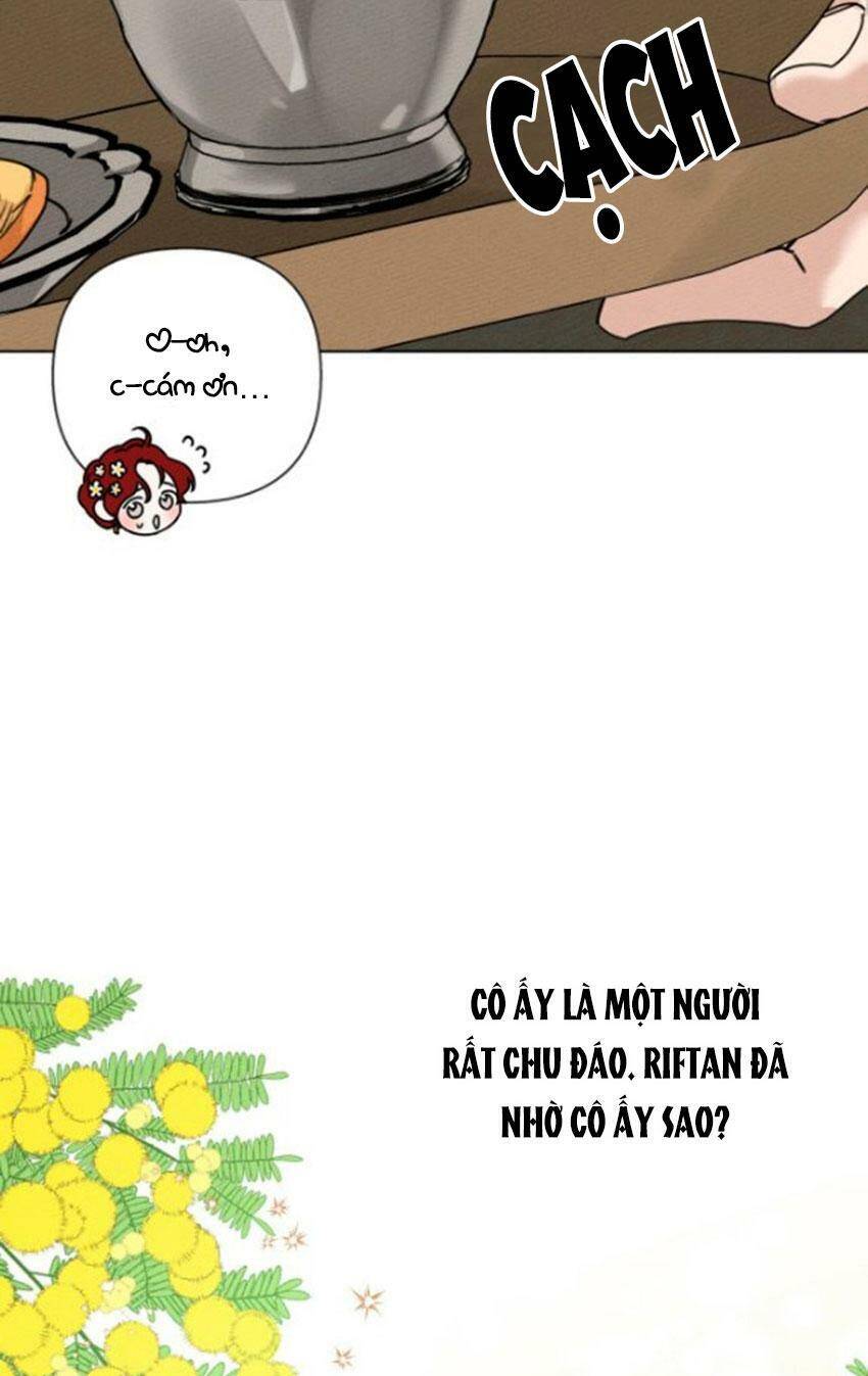 Dưới Bóng Cây Sồi Chapter 11 - Trang 2